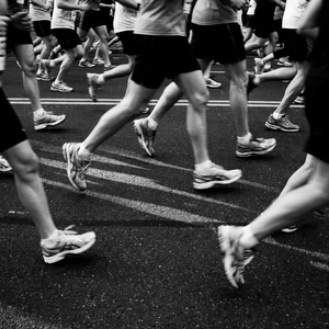 Shake Out Run Sempacherseelauf